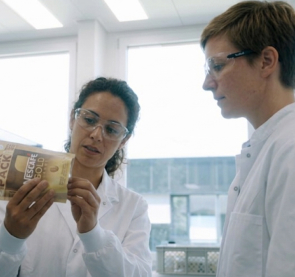 Packaging Intelligence based in Berlin